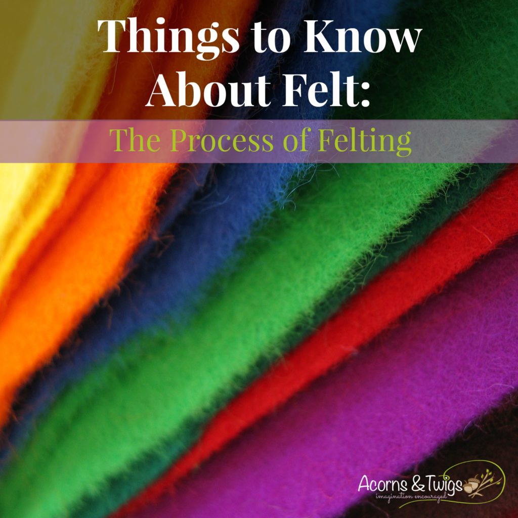 Things To Know About Felt_The Process of Felting_Acorns and Twigs