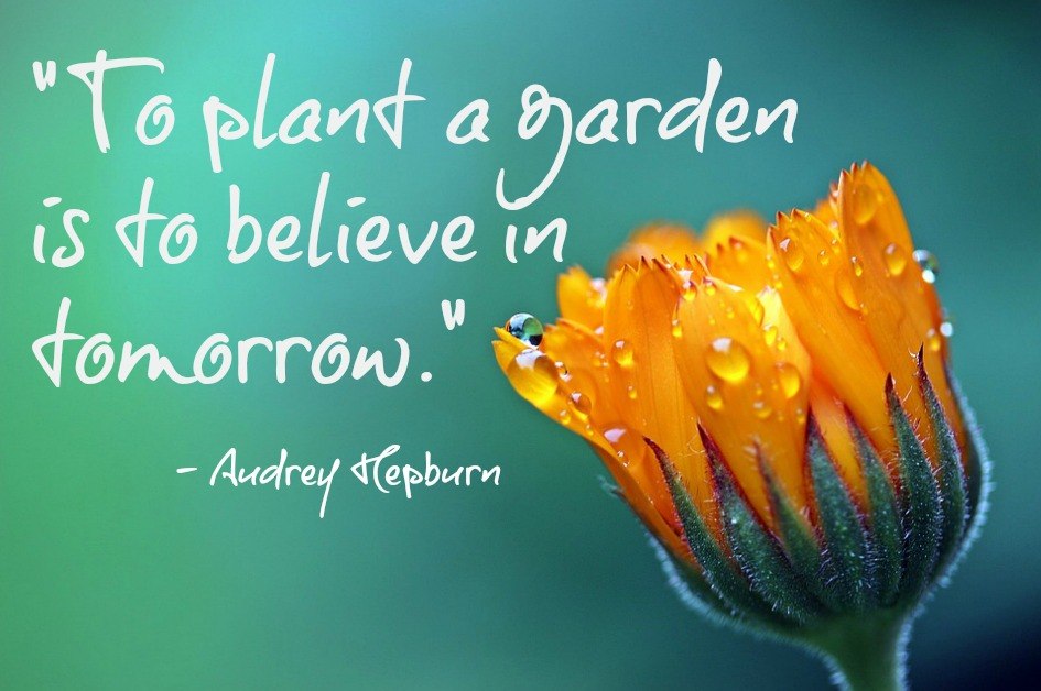 Plant-A-Garden-Believe-in-Tomorrow