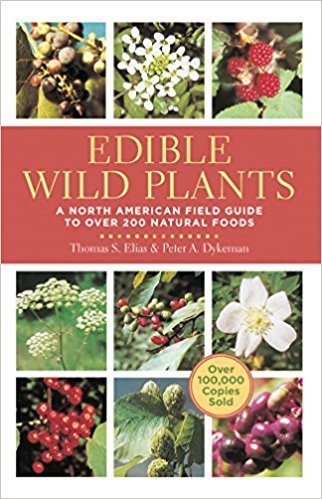 Edible Wild Plants : A North American Field Guide